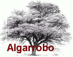 árbol: Algarrobo de Rocío